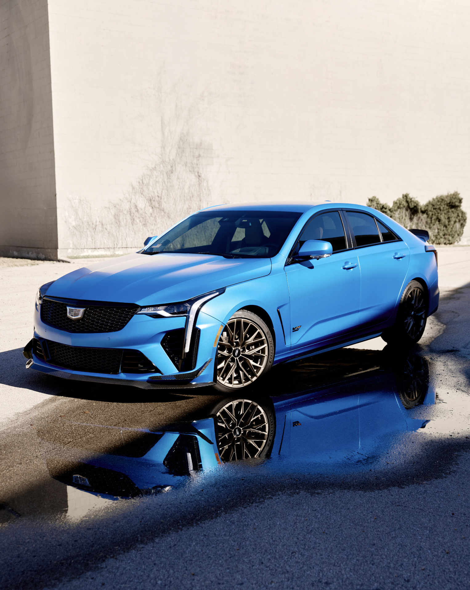 Screenshot 2026-03-02 at 6.38.13 PM.png