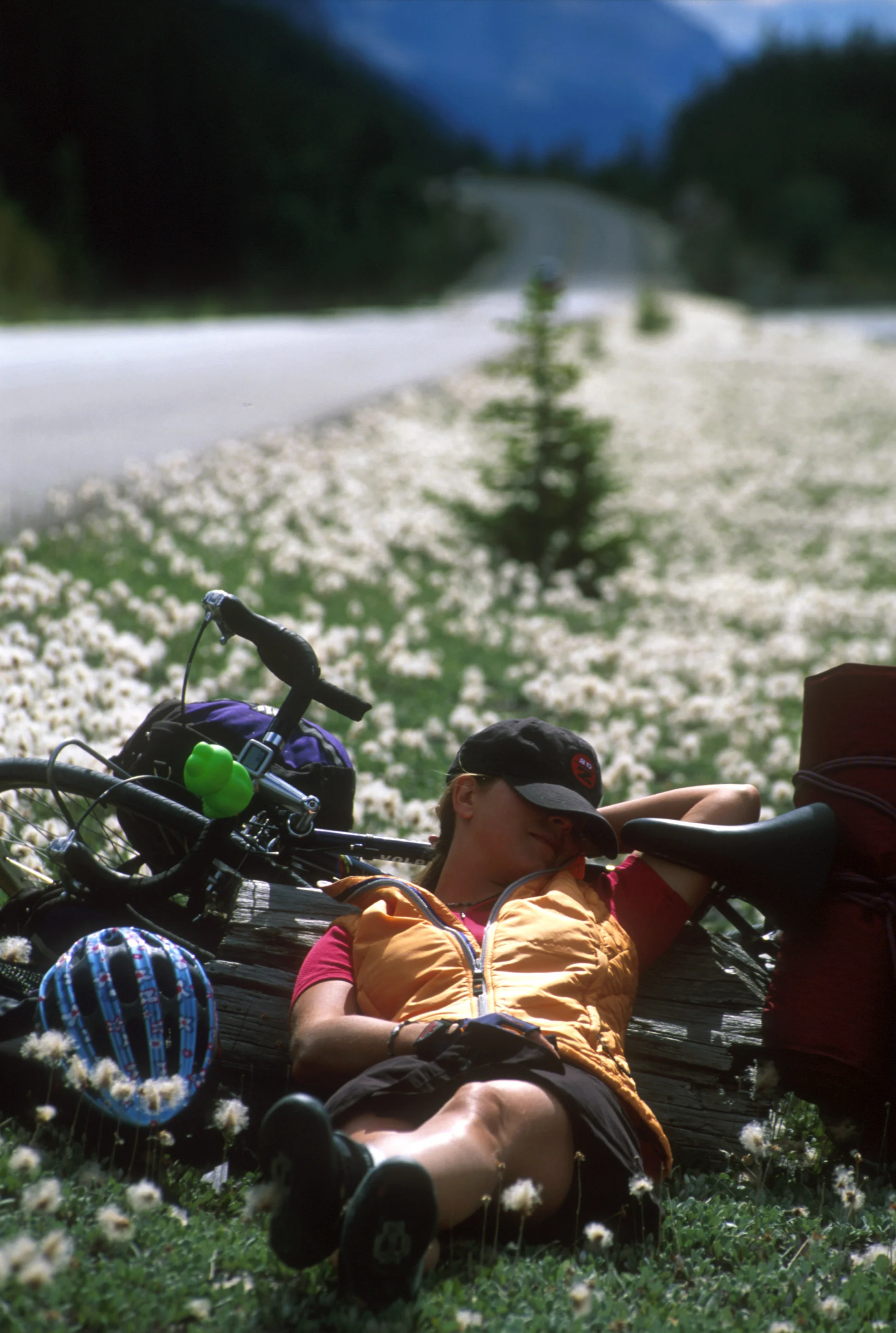 1.7.GPBT-Carter's Roadside Nap.jpg