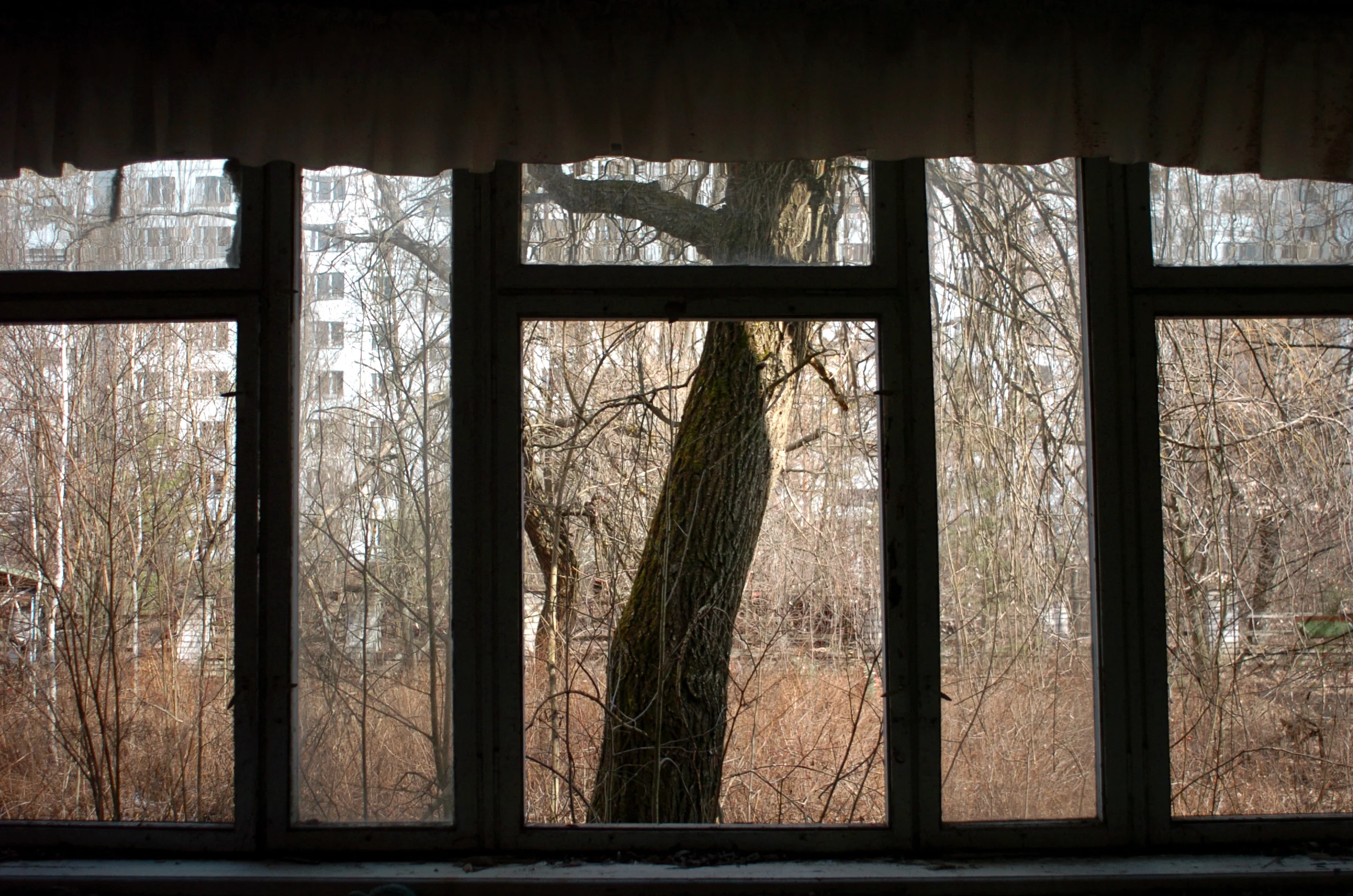 1.4.Chernobyl.DSC_8600.jpg