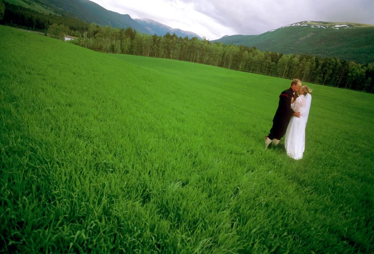 1.8.Weddings.Carter&BjornField.dvd.jpg