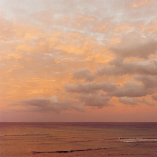 Oceanscape - W
