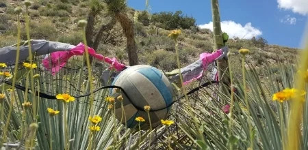 ball bush 3.jpg