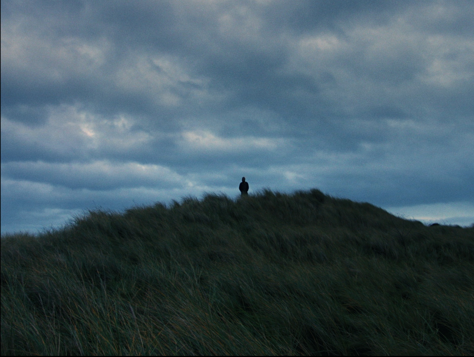 Screen Shot 2019-02-01 at 2.29.45 PM.png