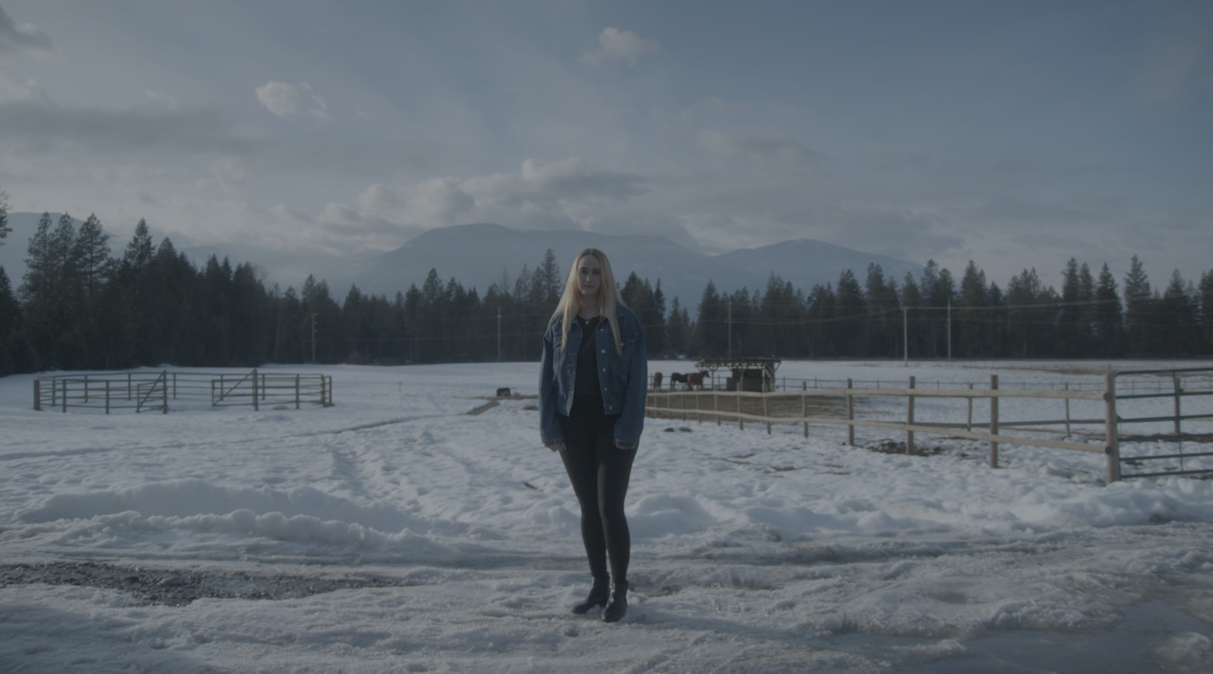 Screen Shot 2023-01-26 at 5.55.02 PM 2.PNG