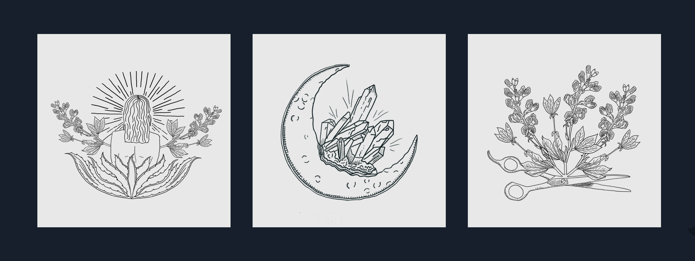 illustrations.png