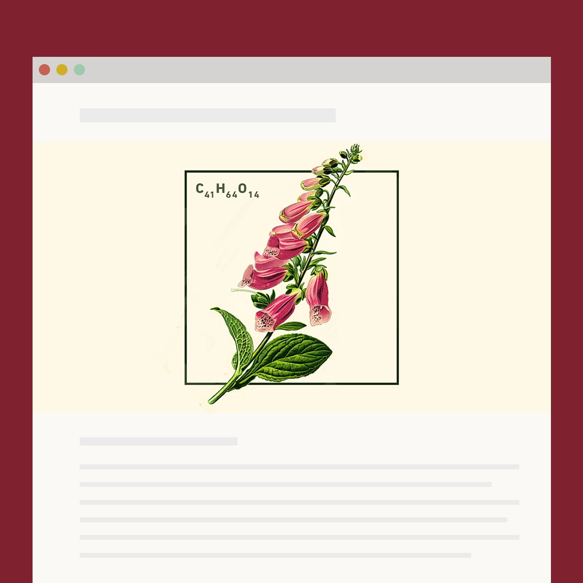 flower.png