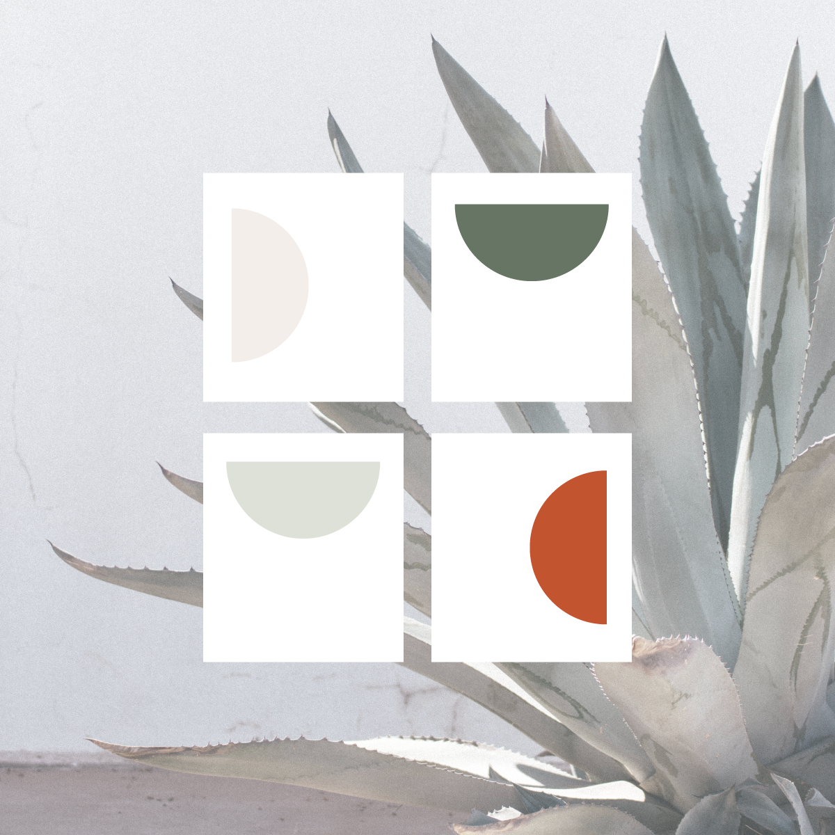 open-road-color-pallete.png