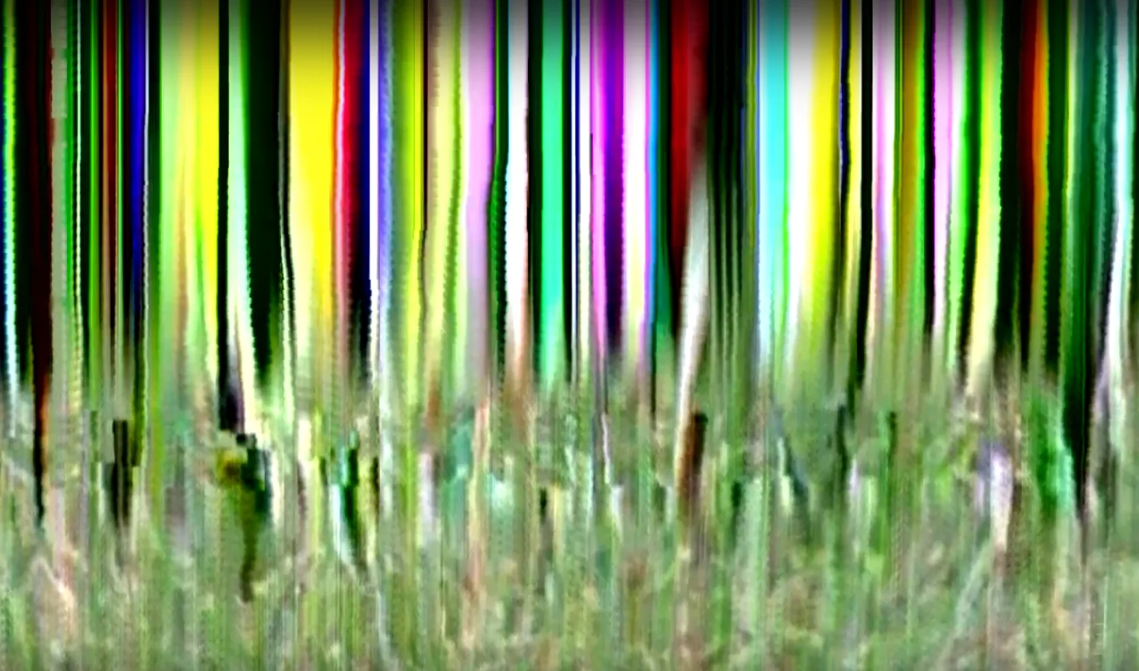 Screenshot+2019-02-21+16.06.15.jpg
