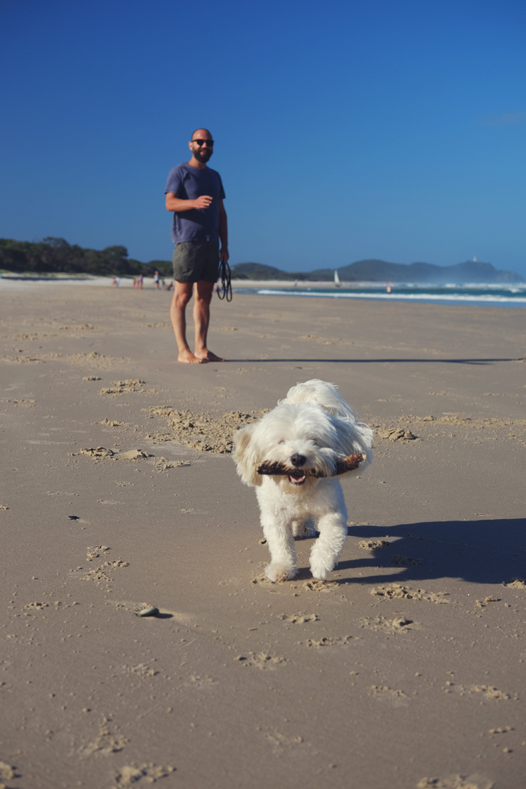 Sufflok Park Dog Beach Byron Bay 01.jpg