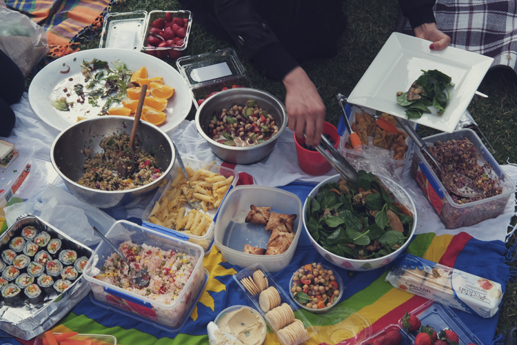 Sydney Vegan CLub Picninc Meetup 01.jpg