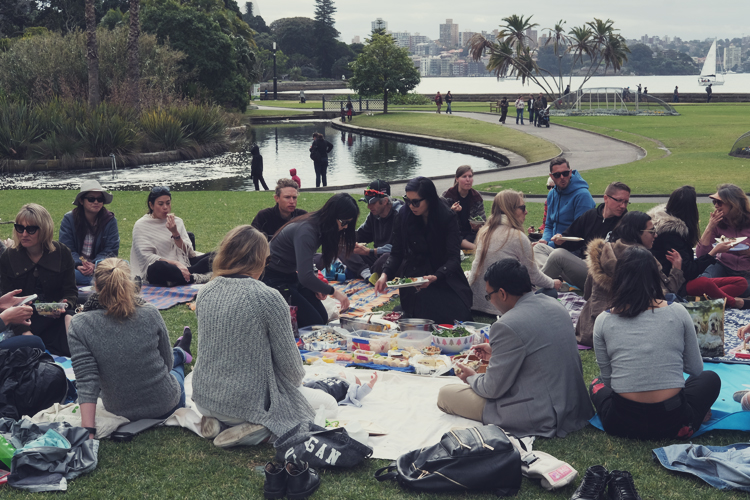 Sydney Vegan CLub Picninc Meetup.jpg