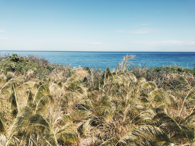 port willunga beach 06.jpg