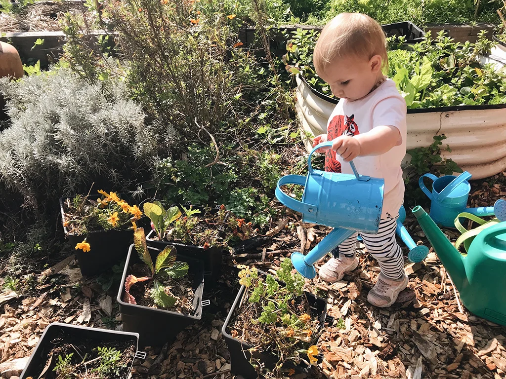 Gardening &amp; Community