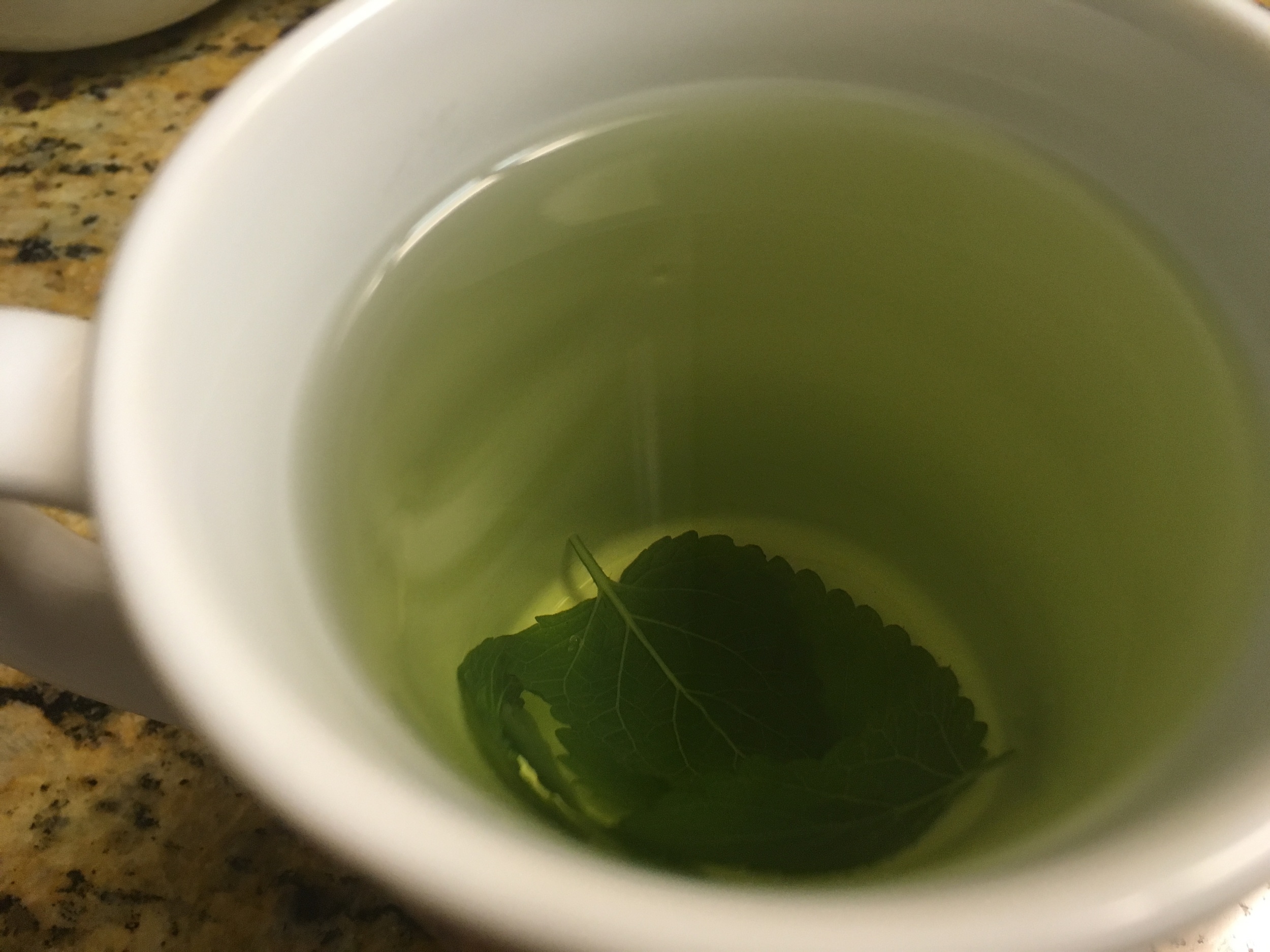 The flavor of the lemon balm tea is very mild but also very soothing.