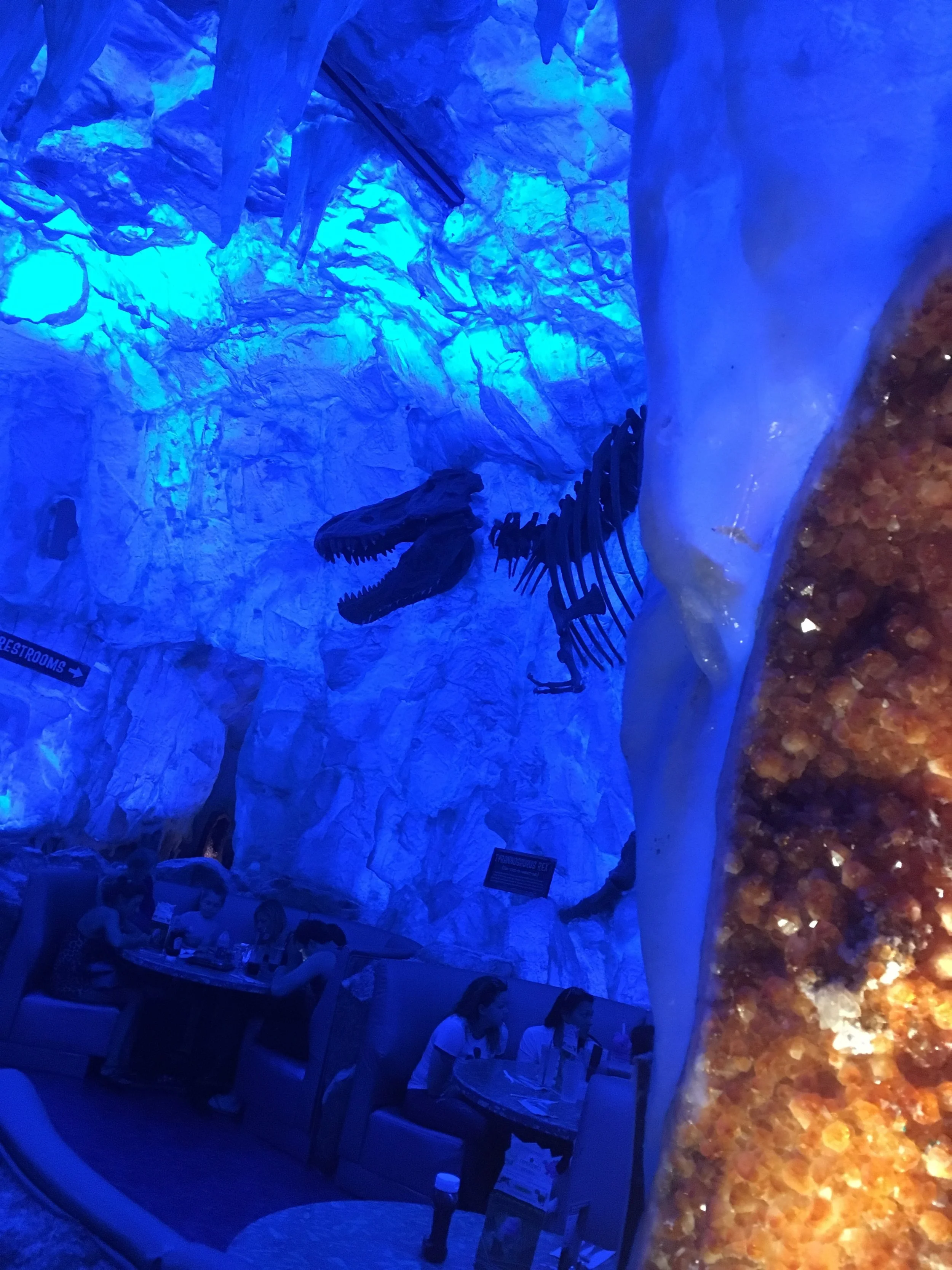  T-Rex Restaurant in Disney Springs! &nbsp;I cannot praise this place highly enough. &nbsp;It was silly and fun and the food was delicious and everyone was so stinking nice. &nbsp;It is very loud, but that's what happens when you have meteor showers 