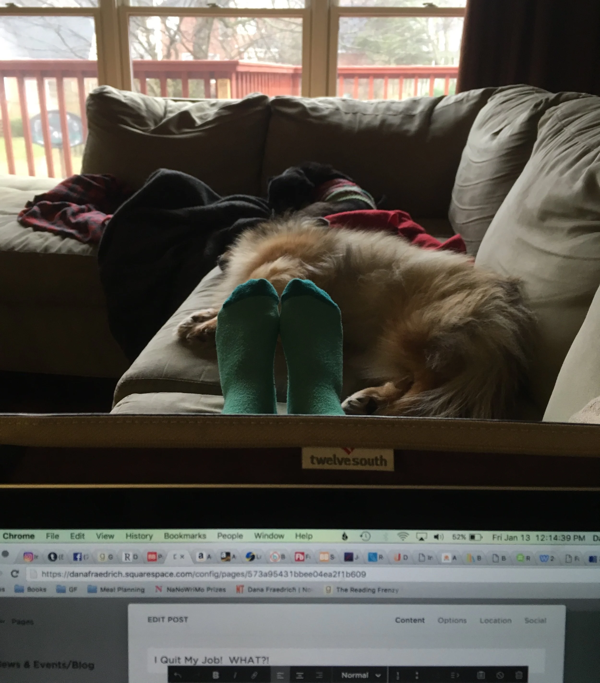 See what I mean? Those kids are such hard workers.