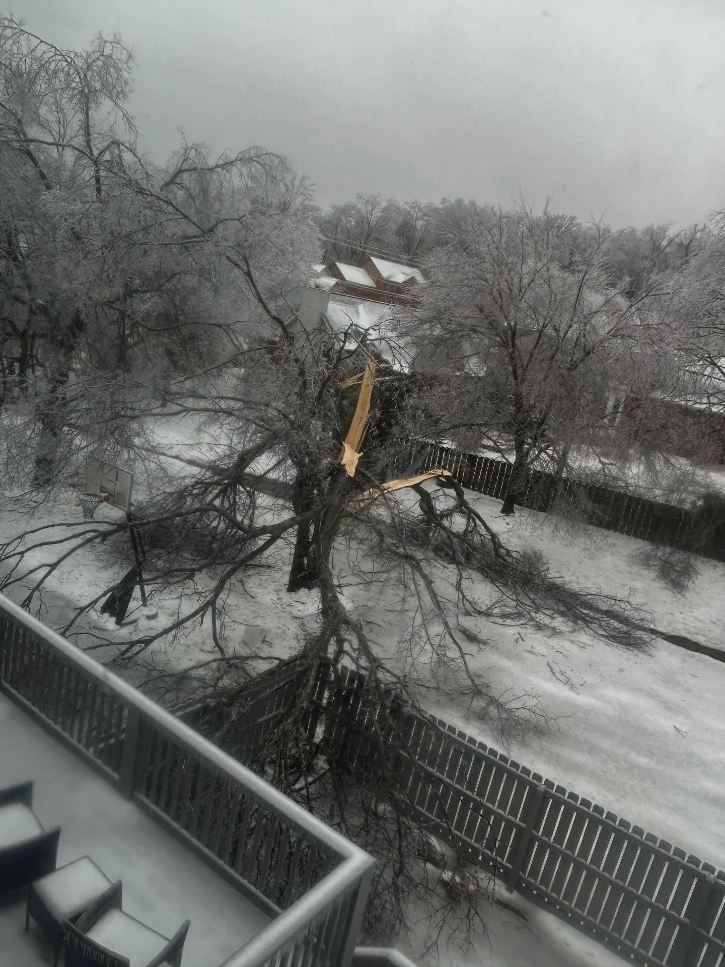 New Patreon posts for January going up: https://www.patreon.com/wordsbydana