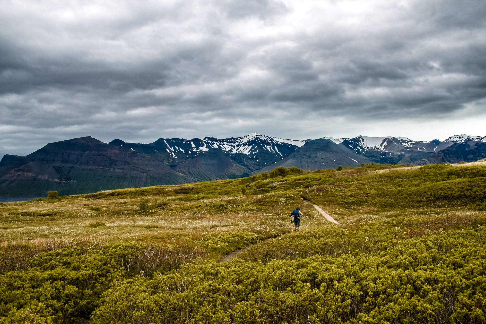 2016-06-28-Iceland-Web-015.jpg