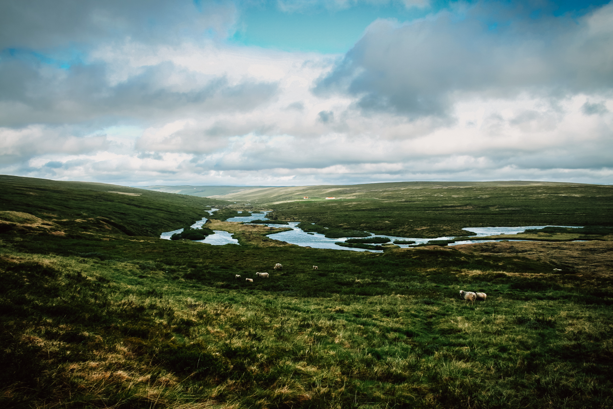 2016-06-28-Iceland-Web-033.jpg