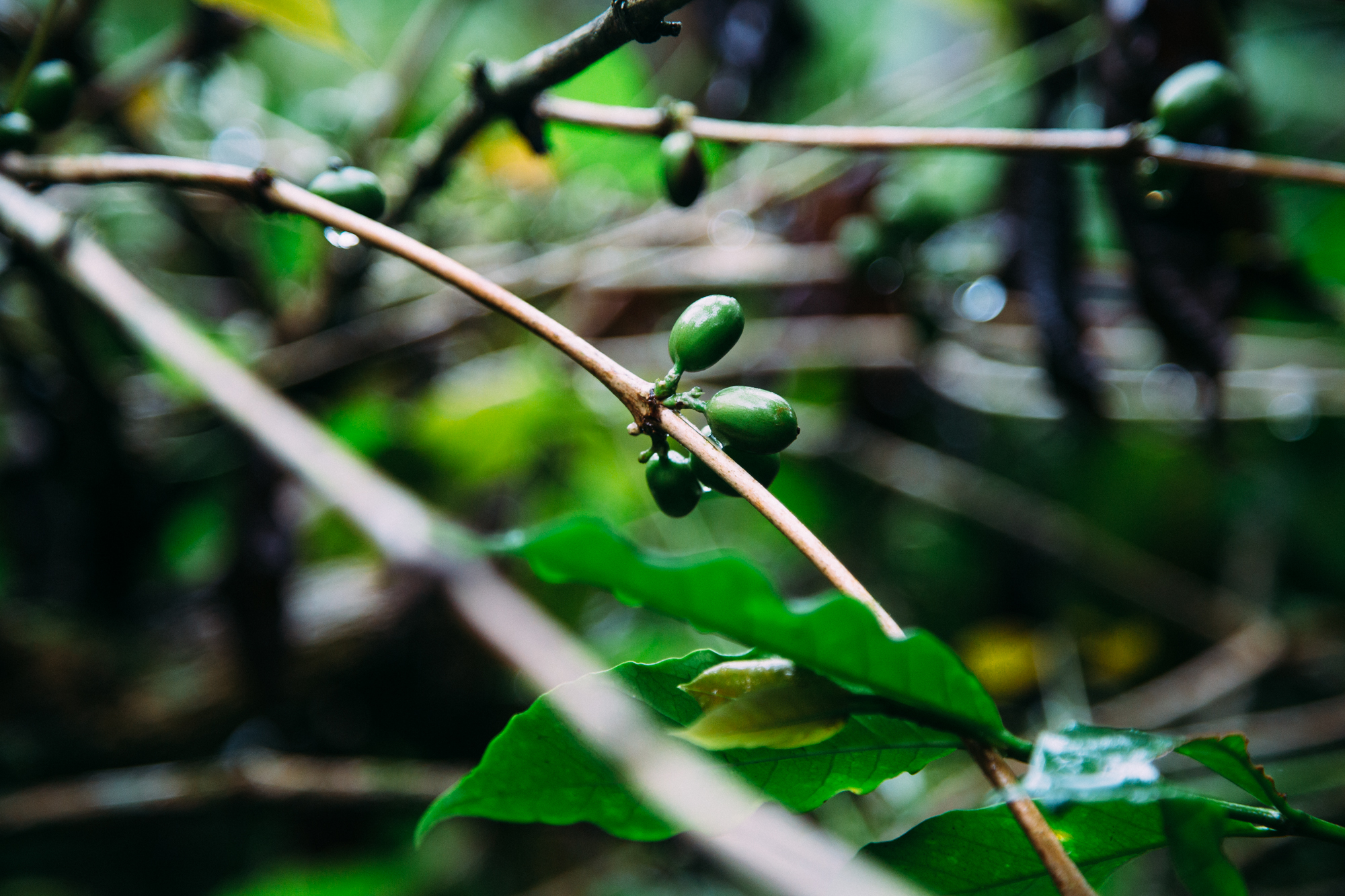 Bali-Travel-Web-11.jpg
