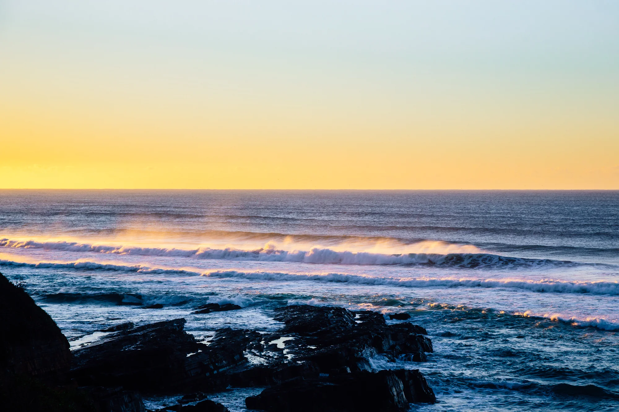 2016-06-20-Safari-SquareSpace-16.jpg