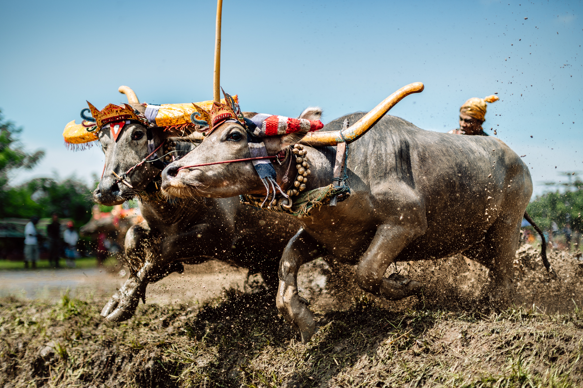 Bali-Gamelan-Web-43.jpg