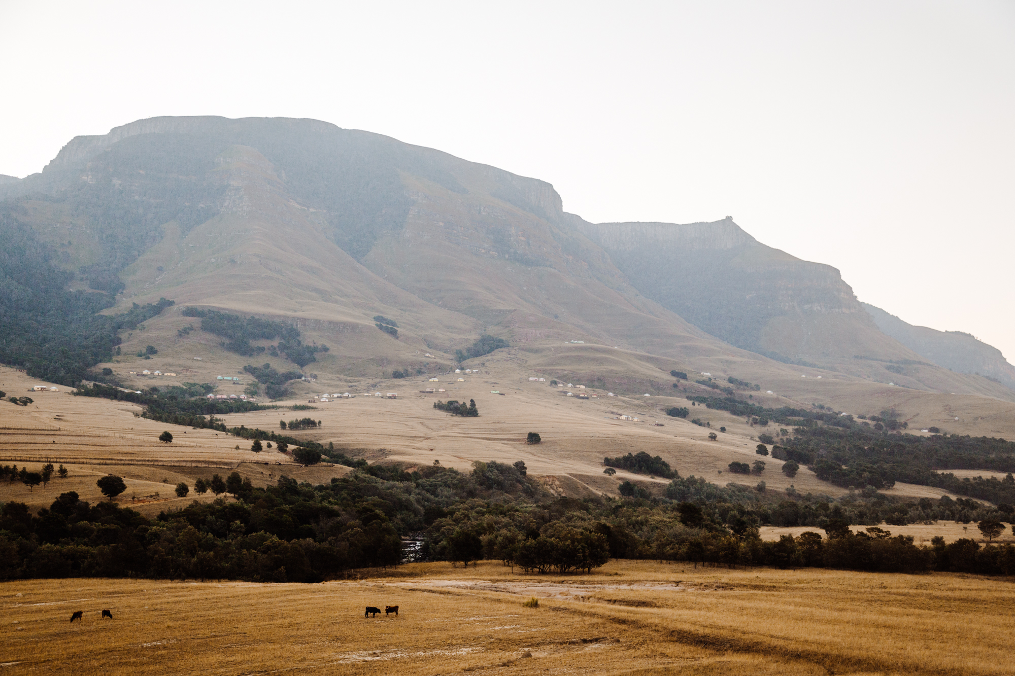 2016-06-20-Transkei-SquareSpace-14.jpg