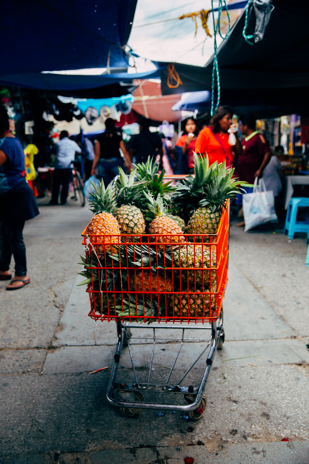 Oaxaca-Travel-Oct-2-20.jpg