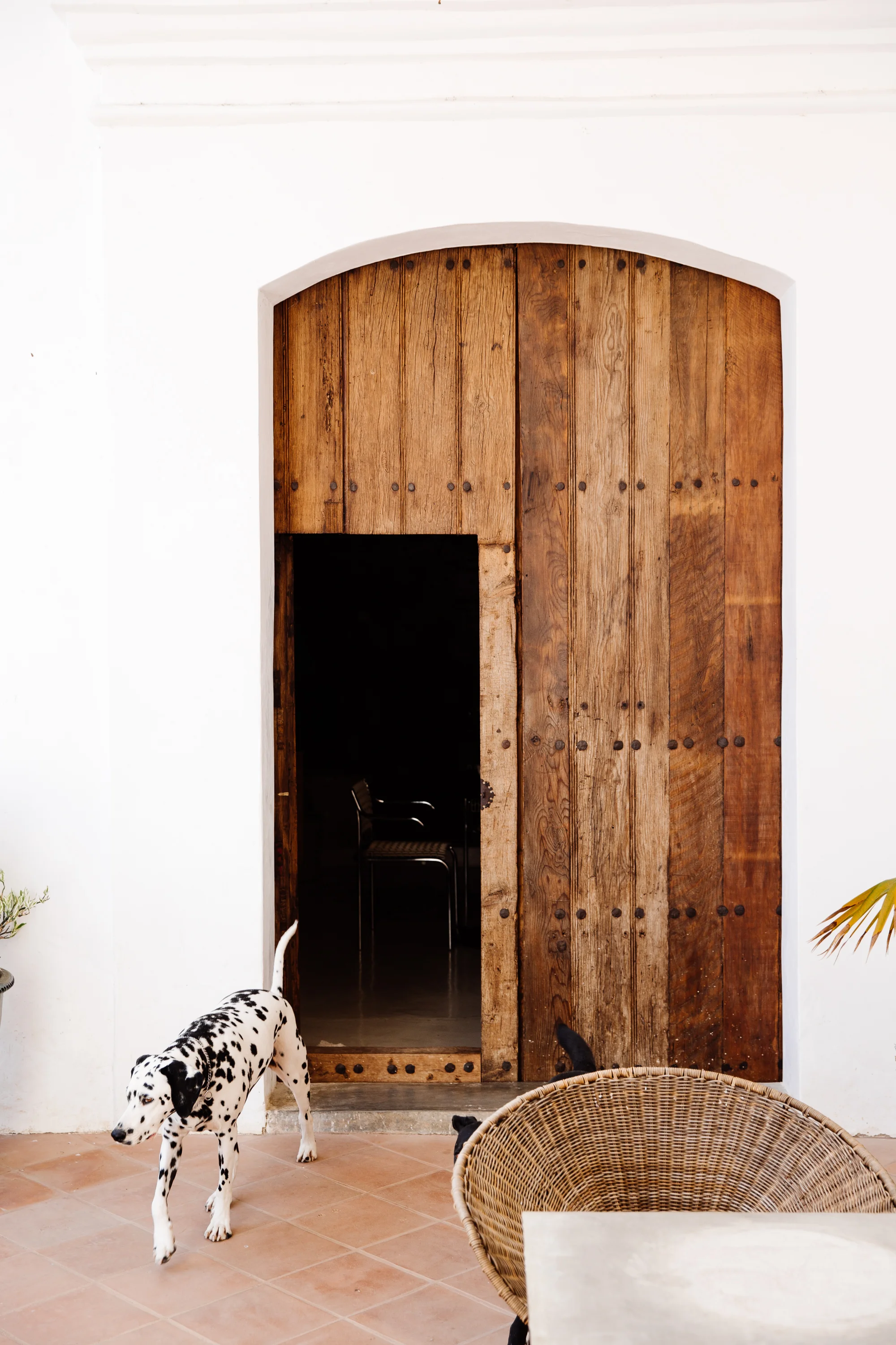 PhilipNix-HaciendaGuadalupe-4.jpg
