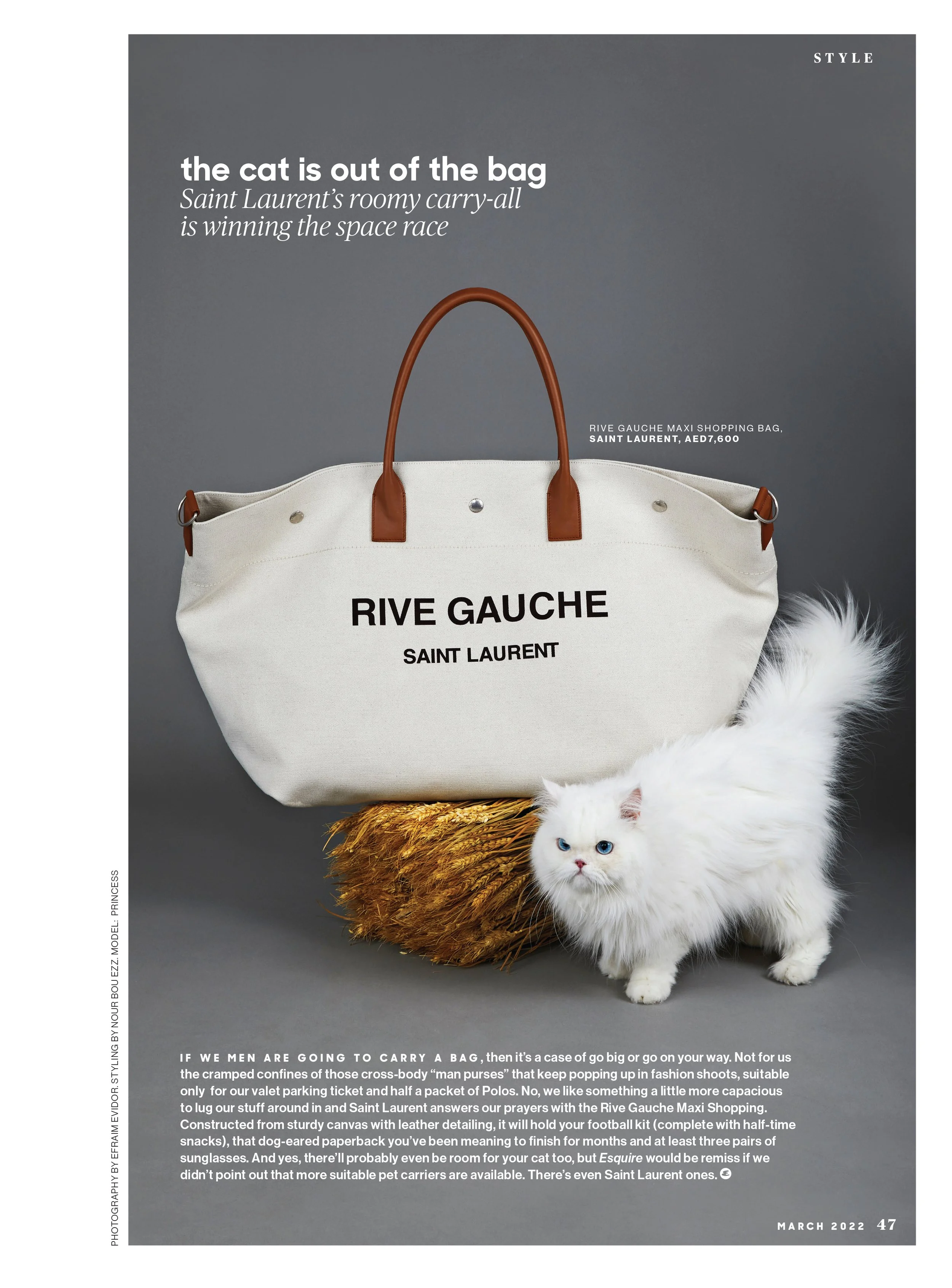 047_ESQ_136_47_STYLE cat bag_11951347.jpg