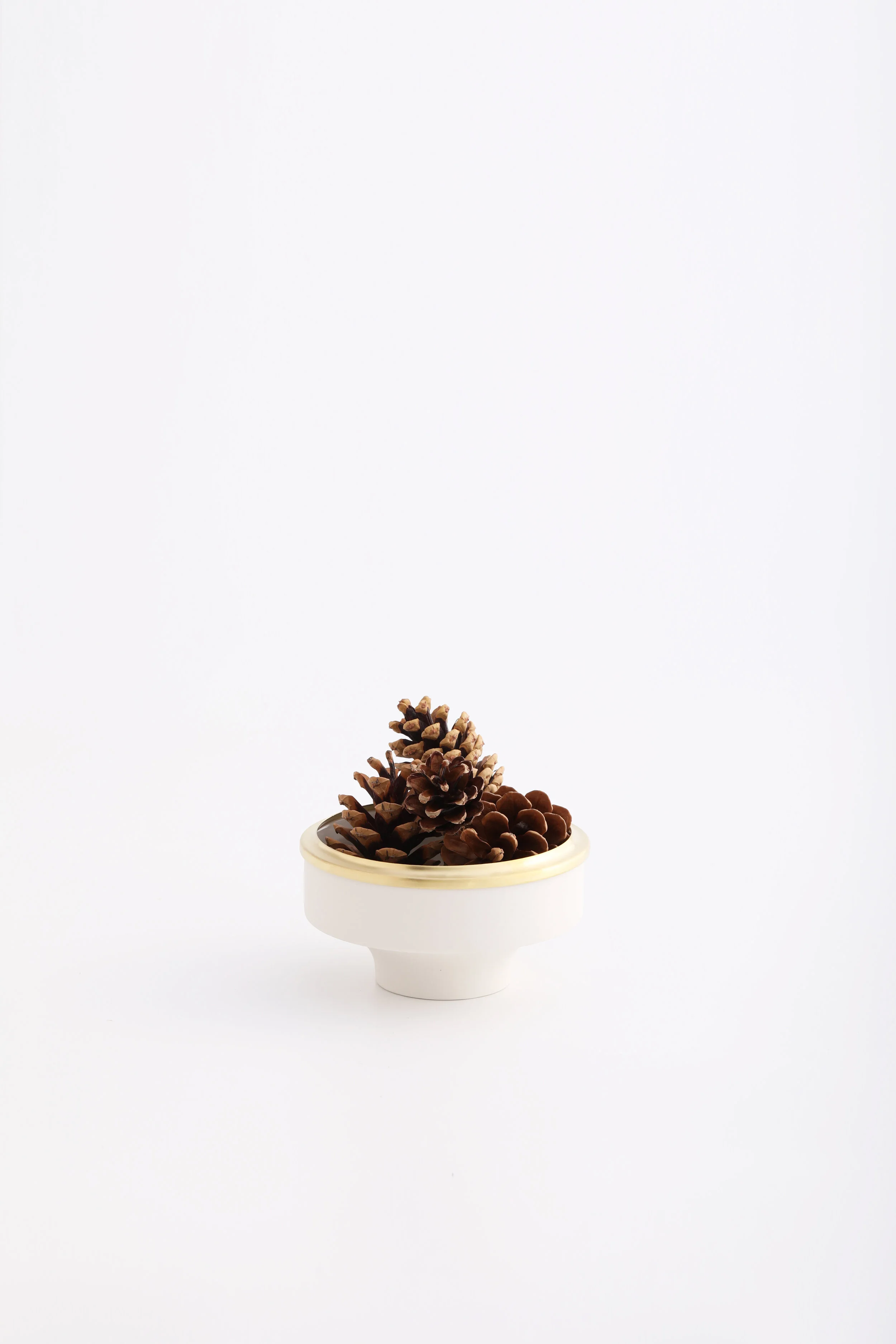 object_12_1.jpg