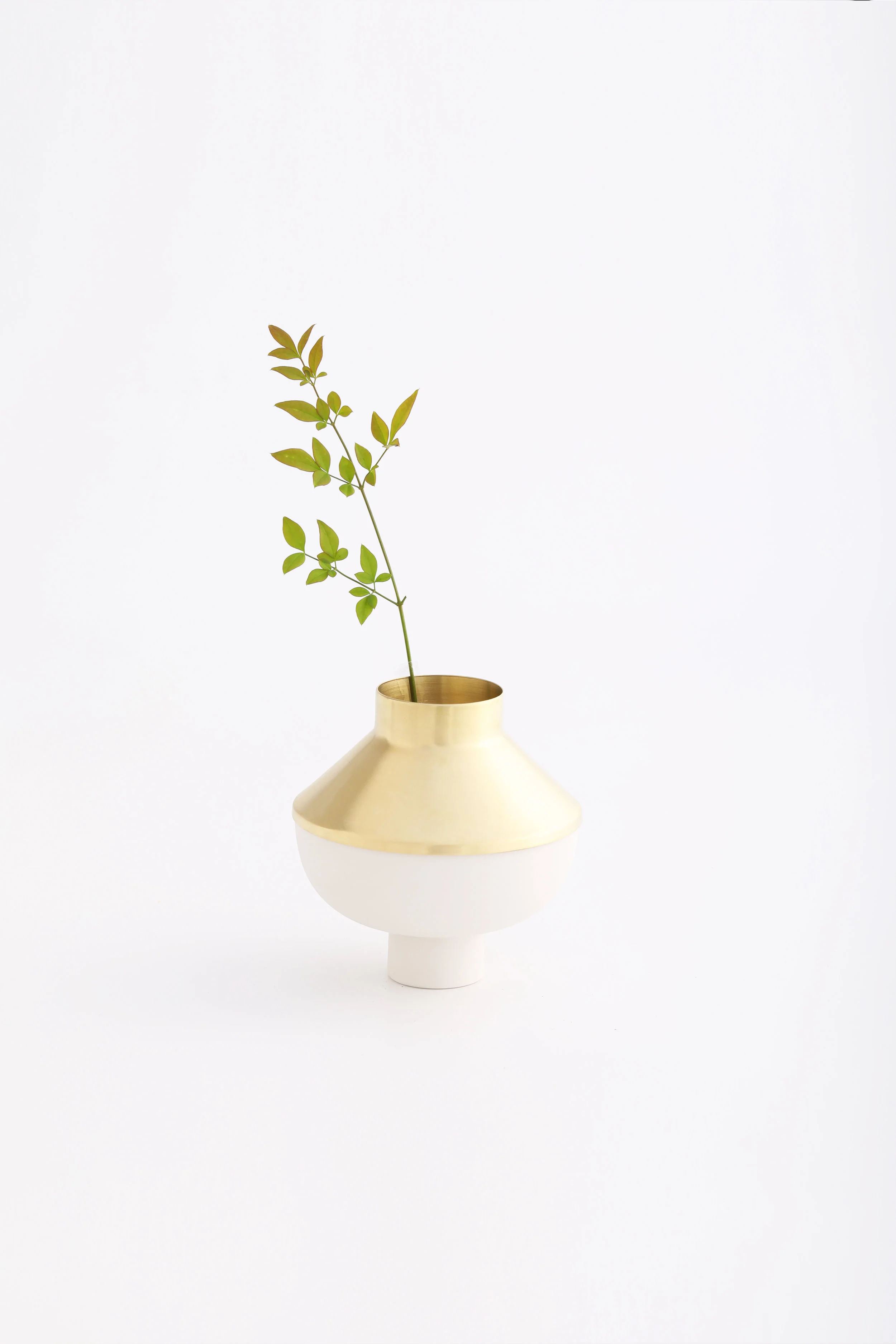object_12_3.jpg