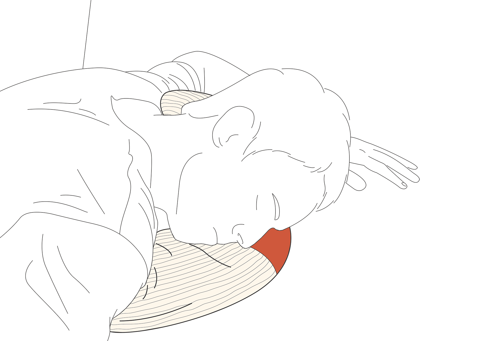 pillow_03.png