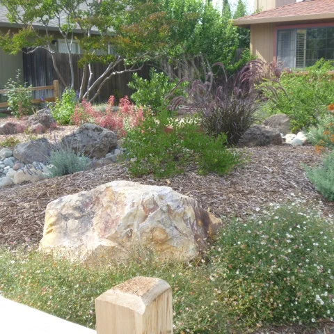 P1020150 - Version 2.JPG