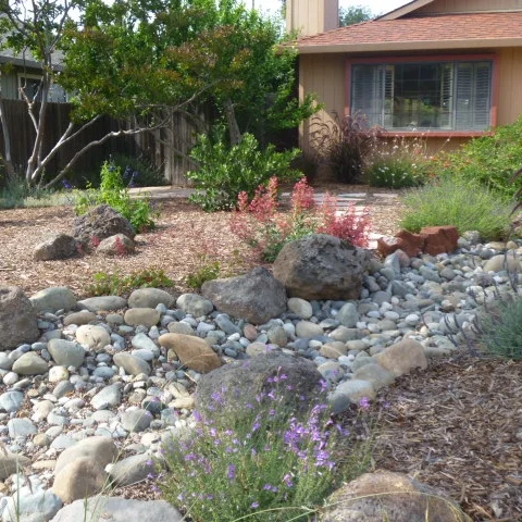 P1020152 - Version 2.JPG