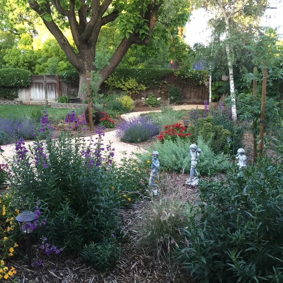 IMG_0180 - Version 2.JPG