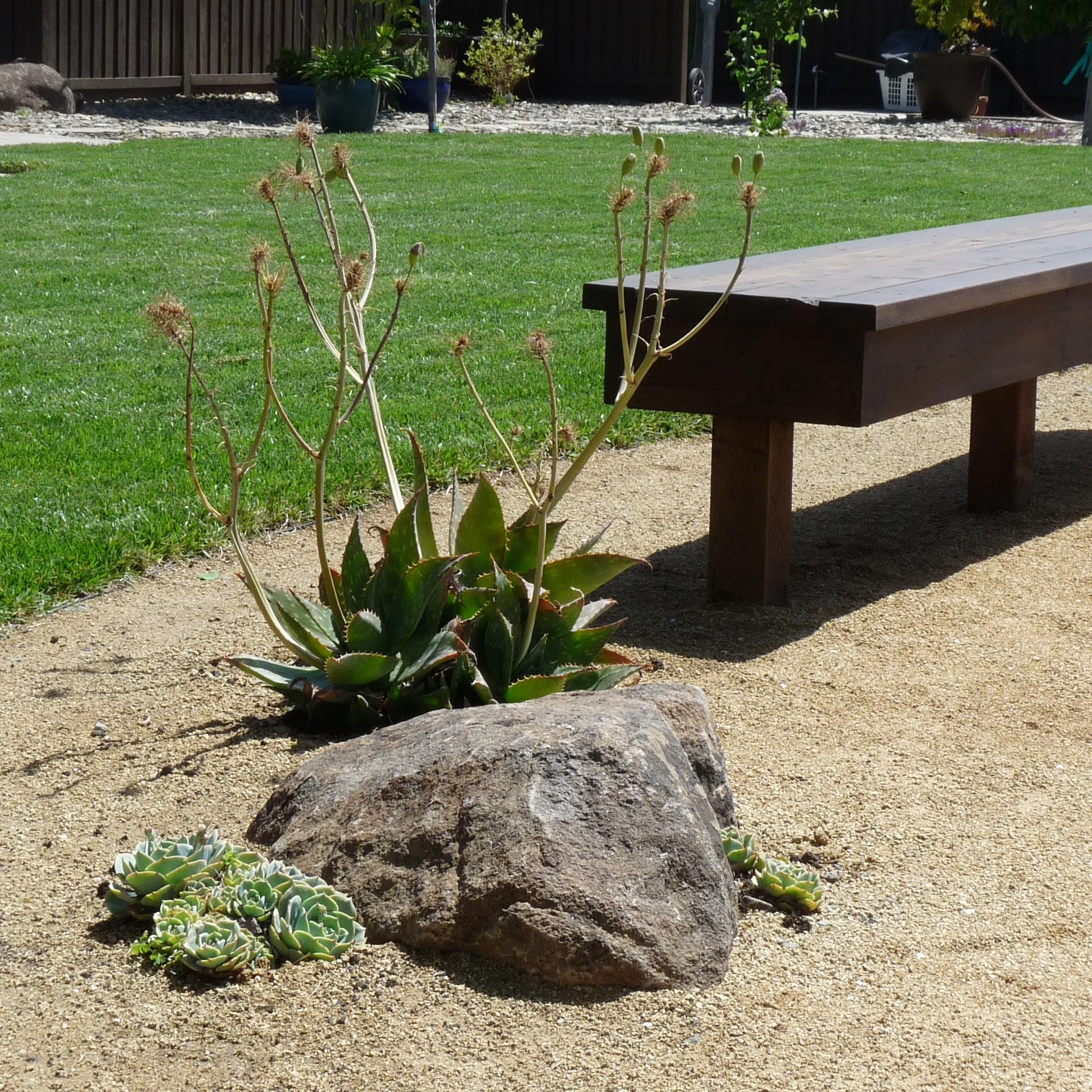 P1120379 - Version 2.JPG