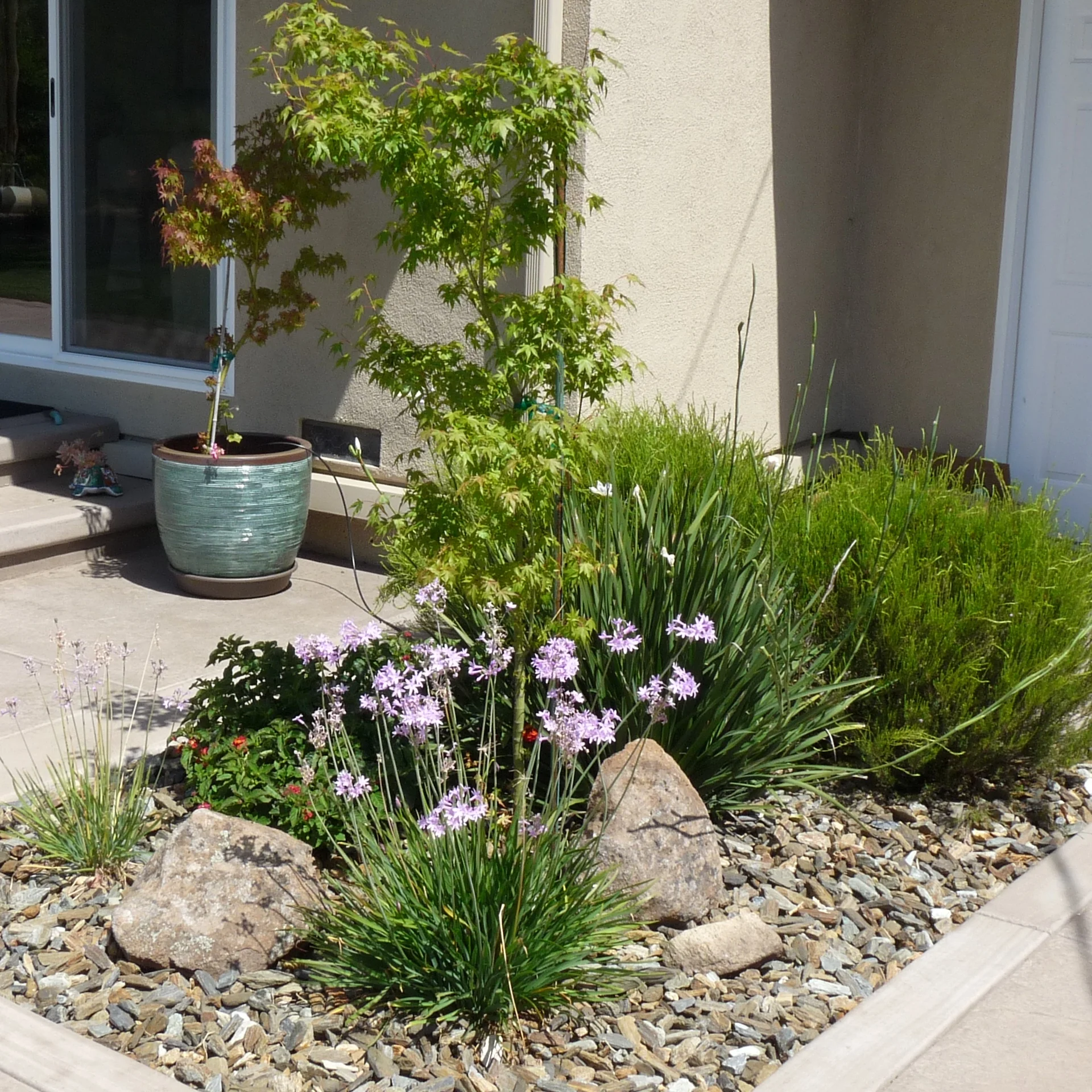 P1120384 - Version 2.JPG