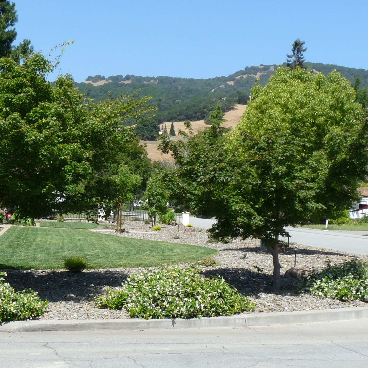 P1120385 - Version 2.JPG