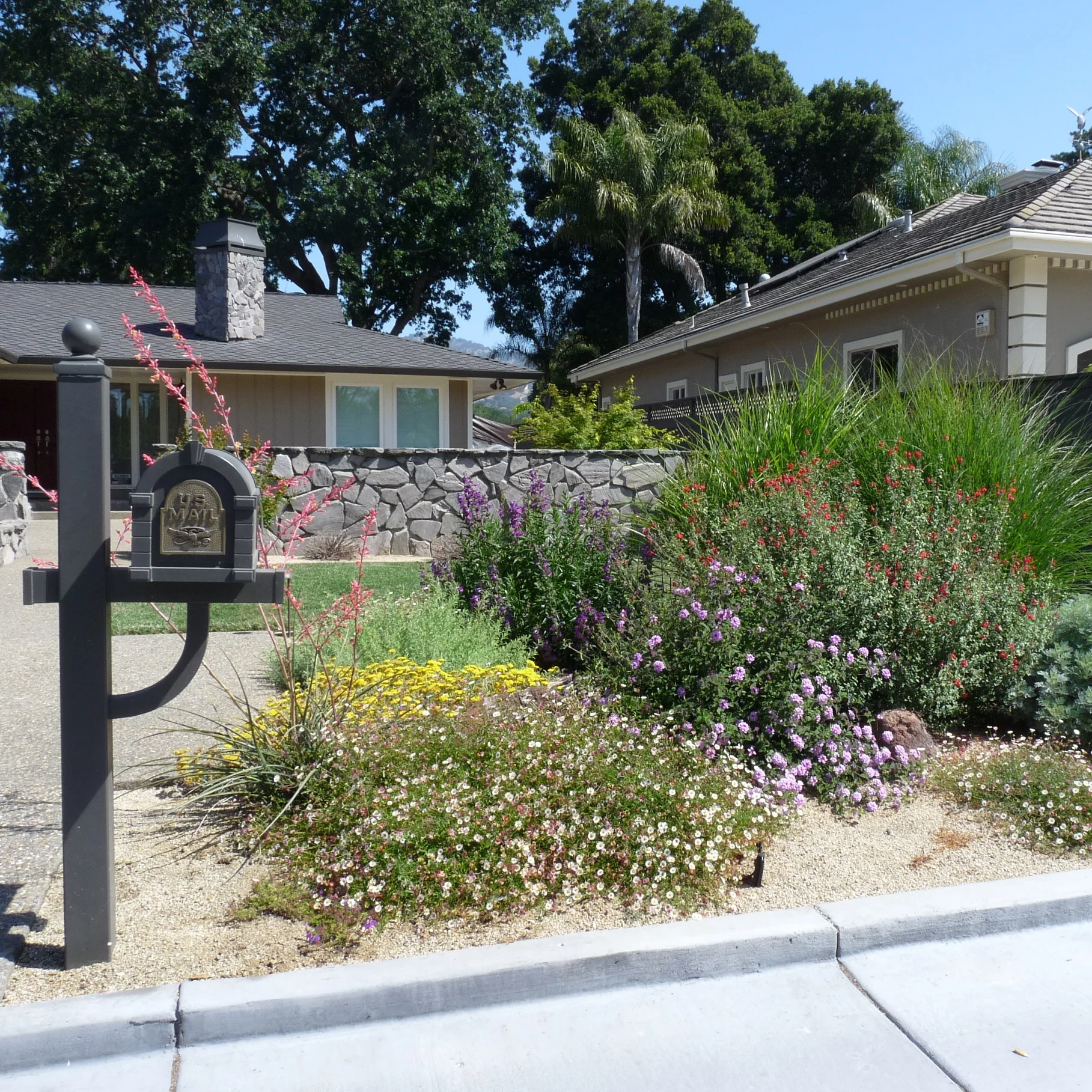 P1120336 - Version 2.JPG