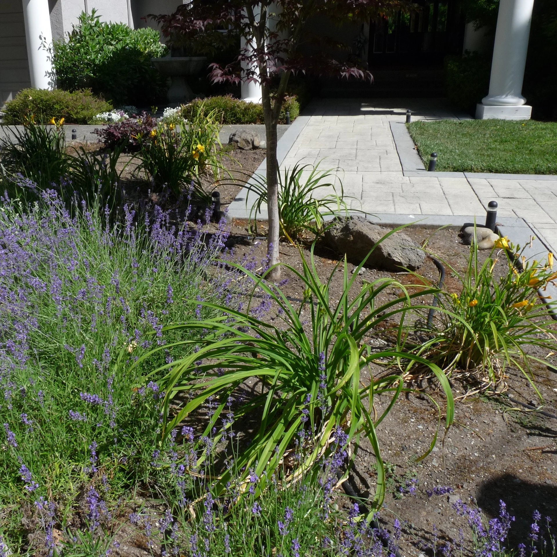 P1120310 - Version 2.JPG