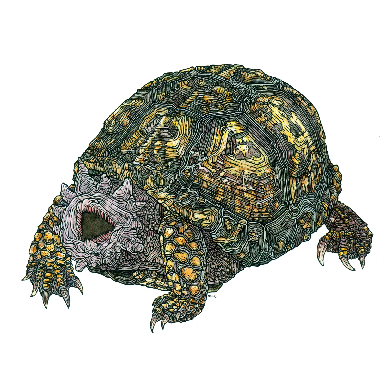 Hell Turtle watercolour and ink on paper, 10" x 10" 2015