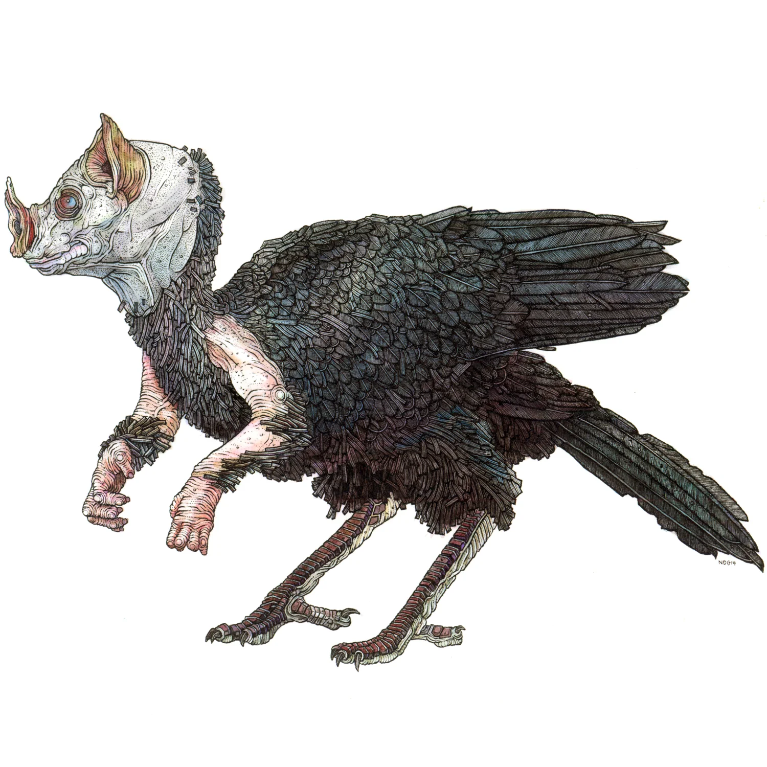 Winged Creep watercolour and ink on paper, 10" x 10" 2014