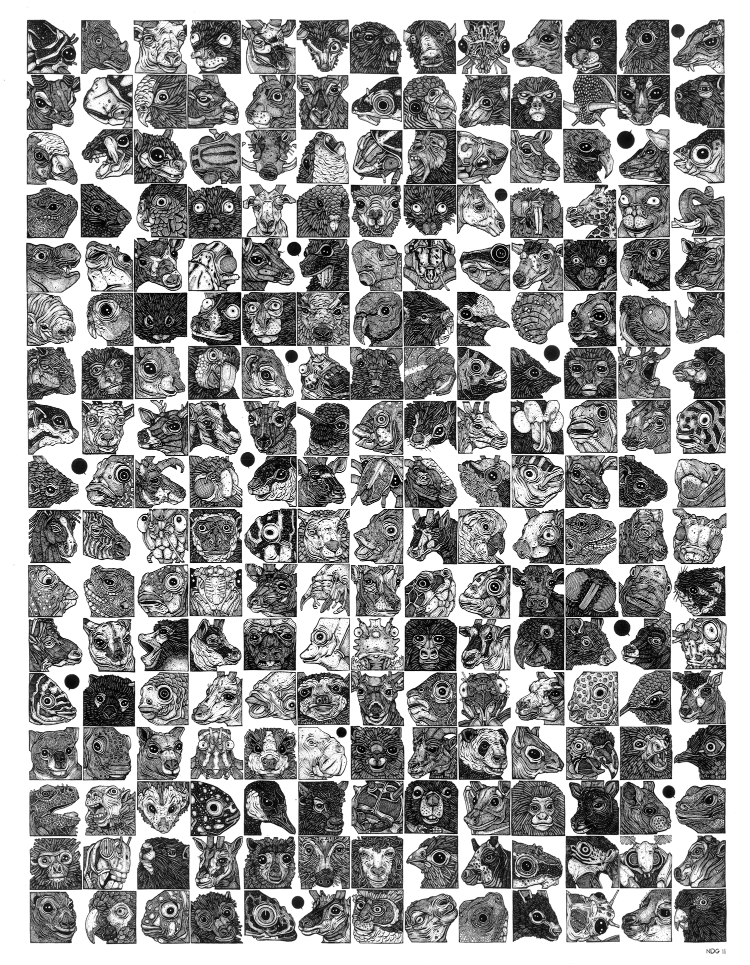 221 Herbivores ink on paper, 14" x 18" 2011