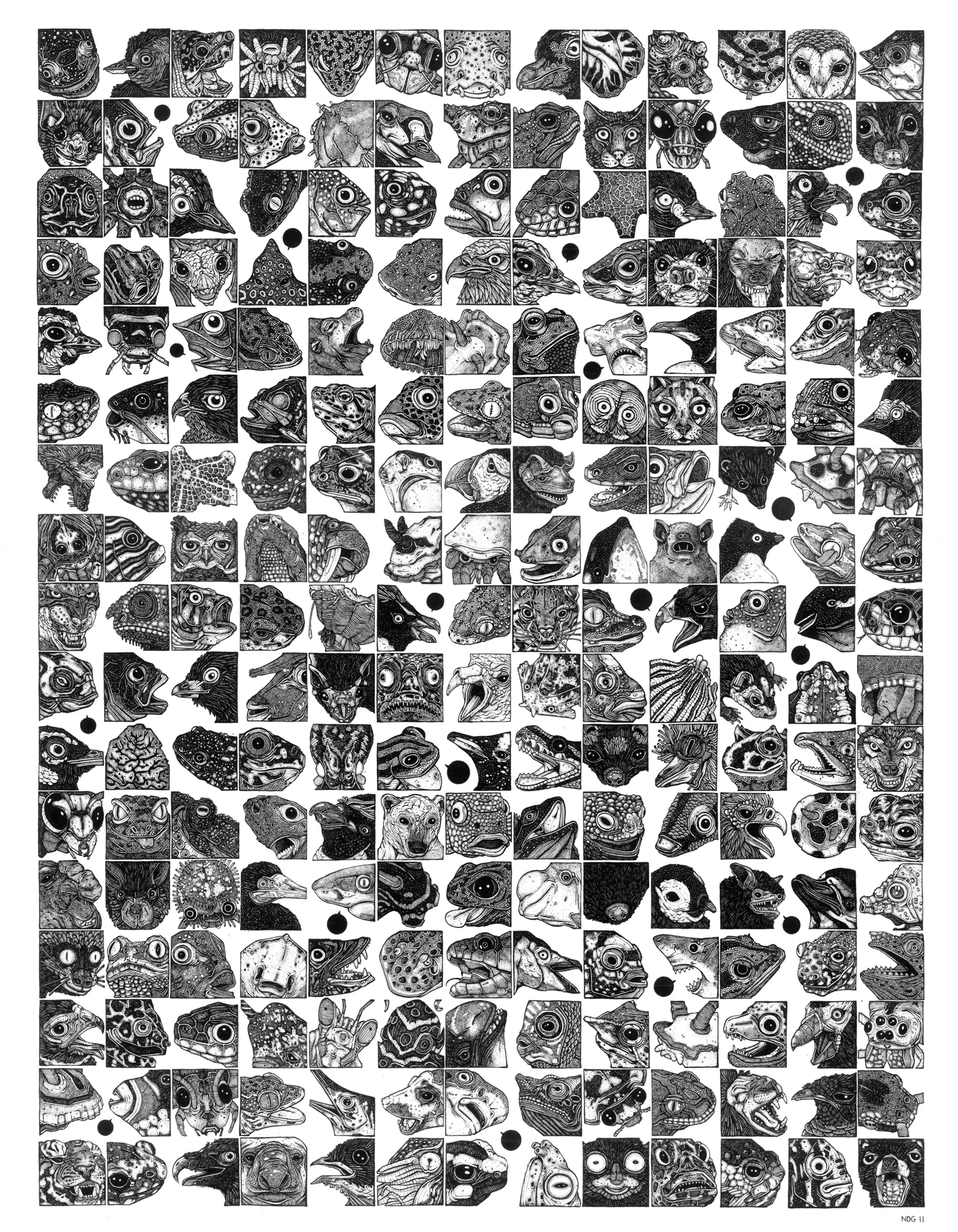 221 Carnivores ink on paper, 14" x 18" 2011