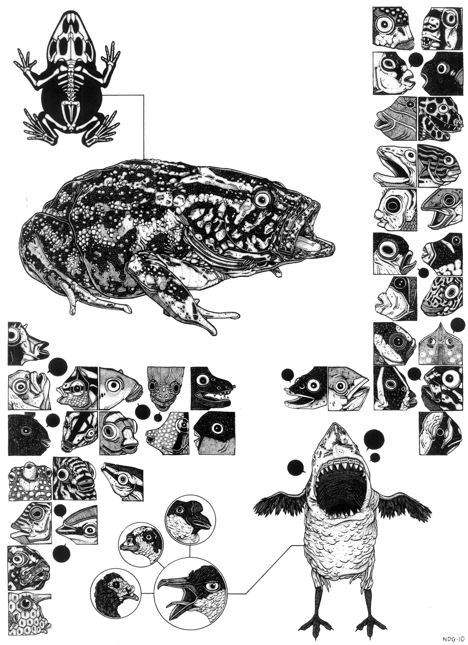 Ocean Life ink on paper, 12" x 16" 2010