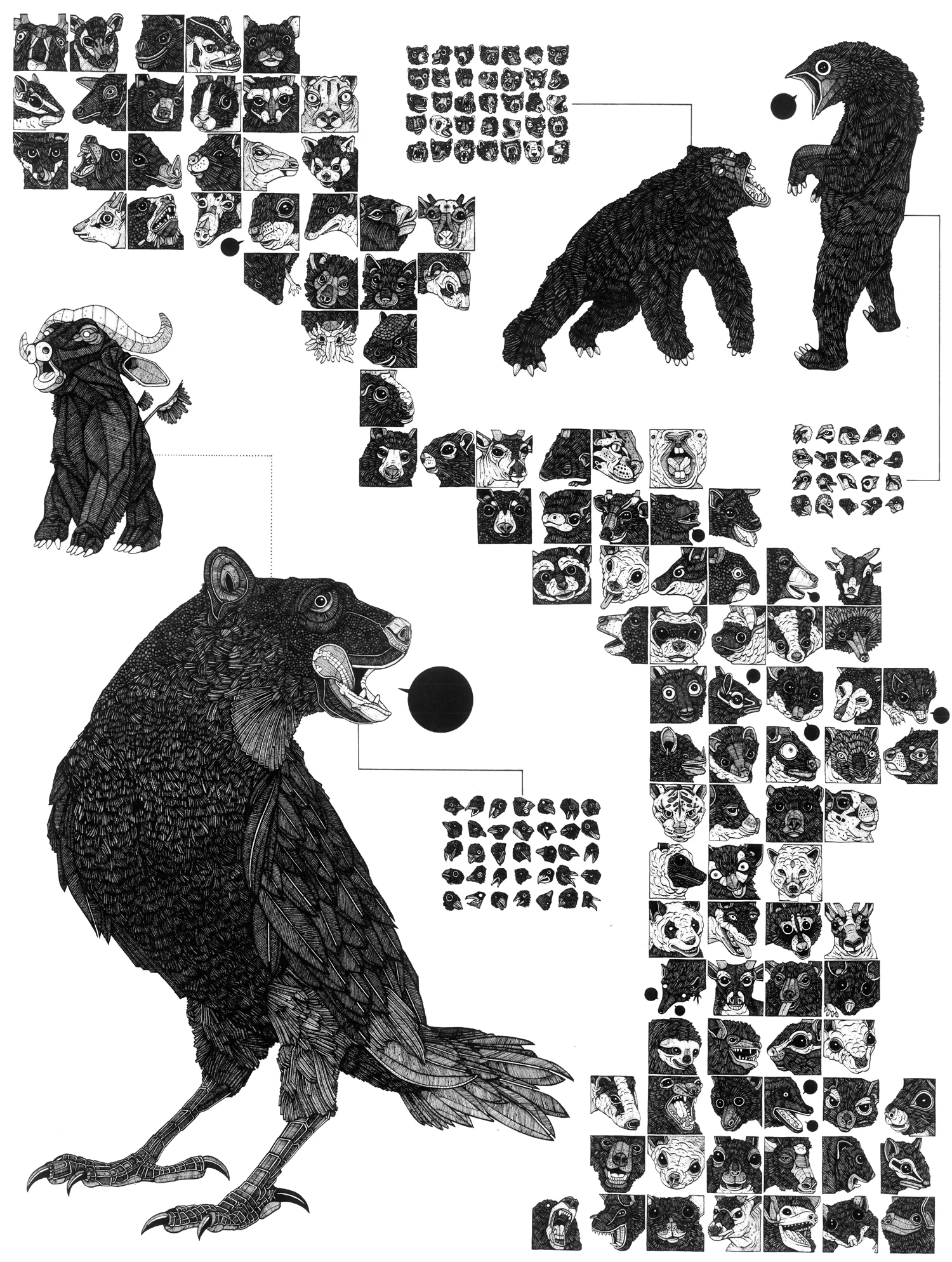 Creatures of the Temperate Forest Biome ink on paper, 18" x 23" 2009