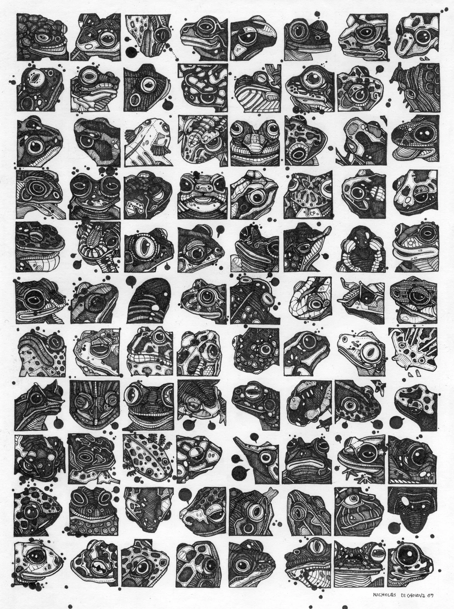 The 88 Fiercest Amphibians in the Animal Kingdom ink on paper, 7.5" x 10.5" 2007