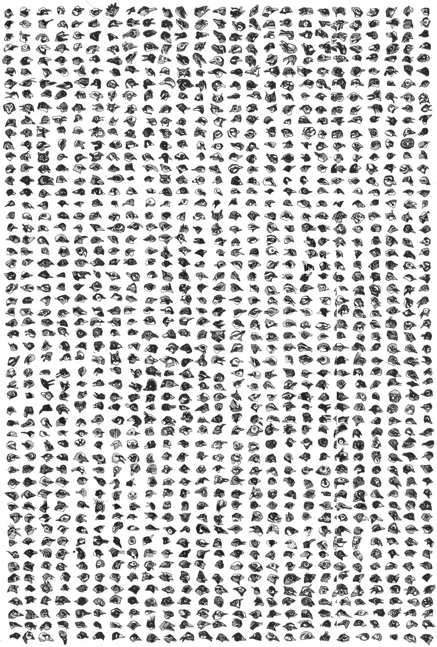 1325 Birds ballpoint pen on paper, 11" x 16" 2007