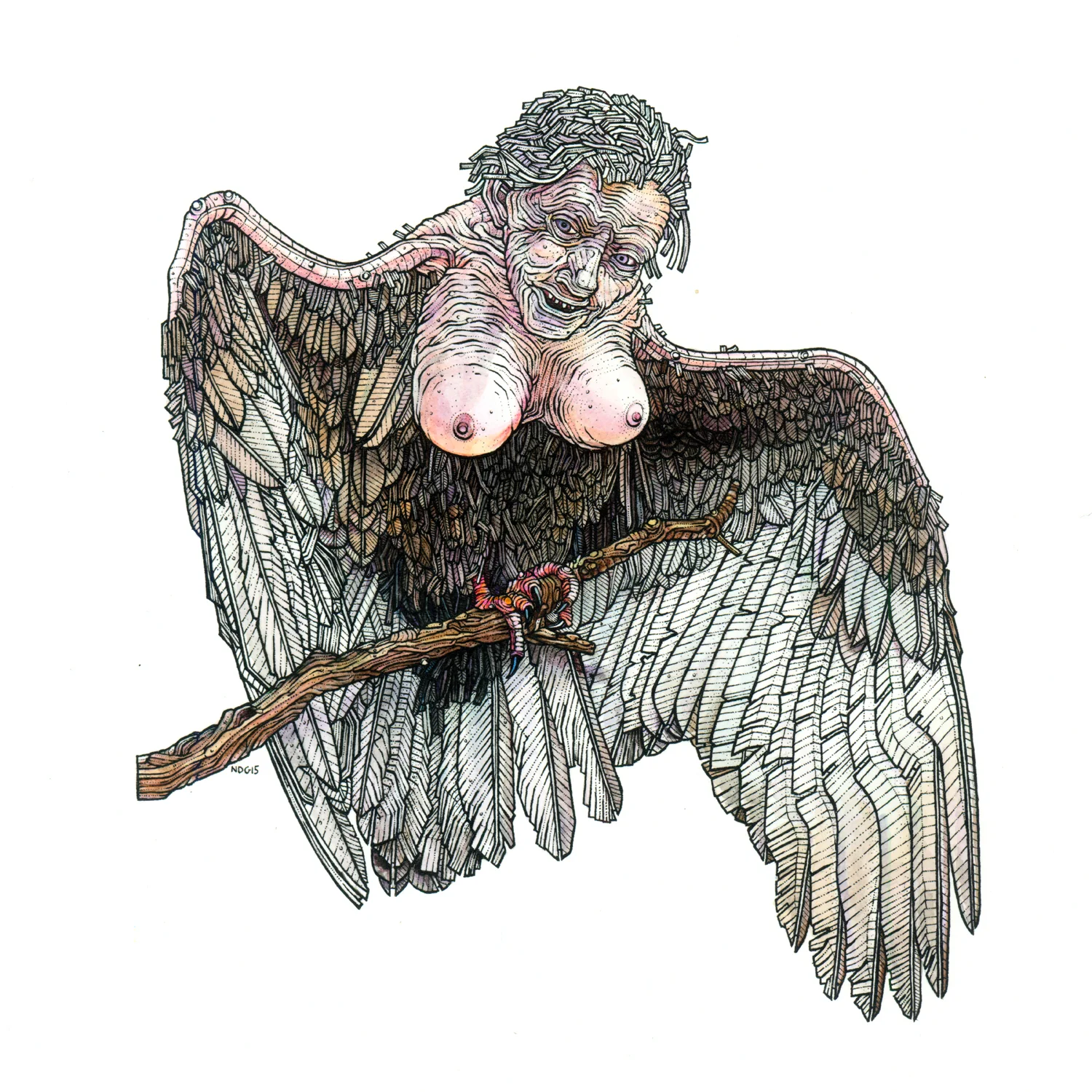 Female Harpy watercolour and ink on paper, 10" x 10" 2015